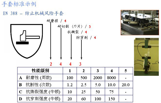 手套标准示例.jpg